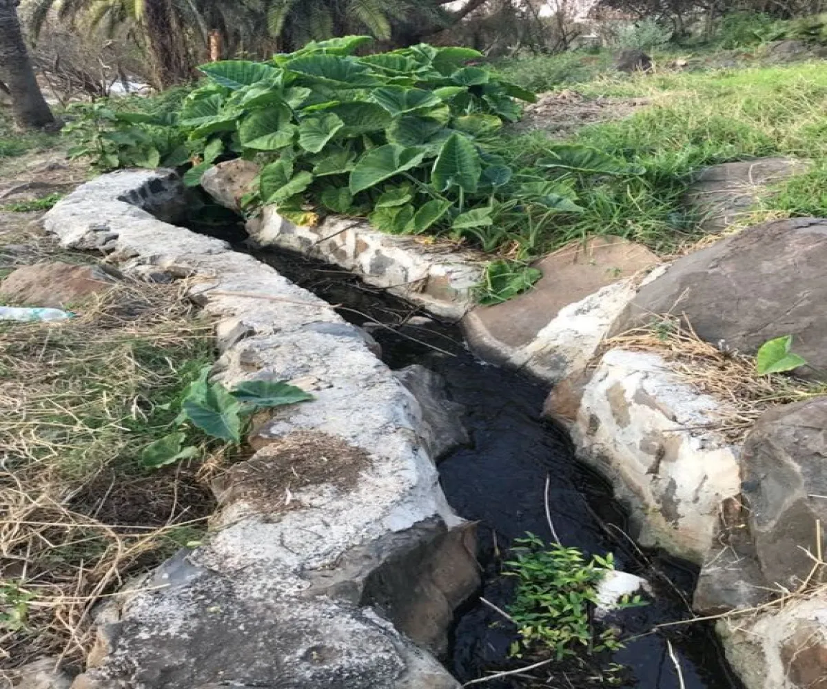 Terreno En Venta,San Antonio Juanacaxtle,Camino del Comodoro, Club Náutico Puente Viejo S/N, Juanacatlán, Jalisco 45887,Camino del Comodoro, Club Náutico Puente Viejo,pedcNWO