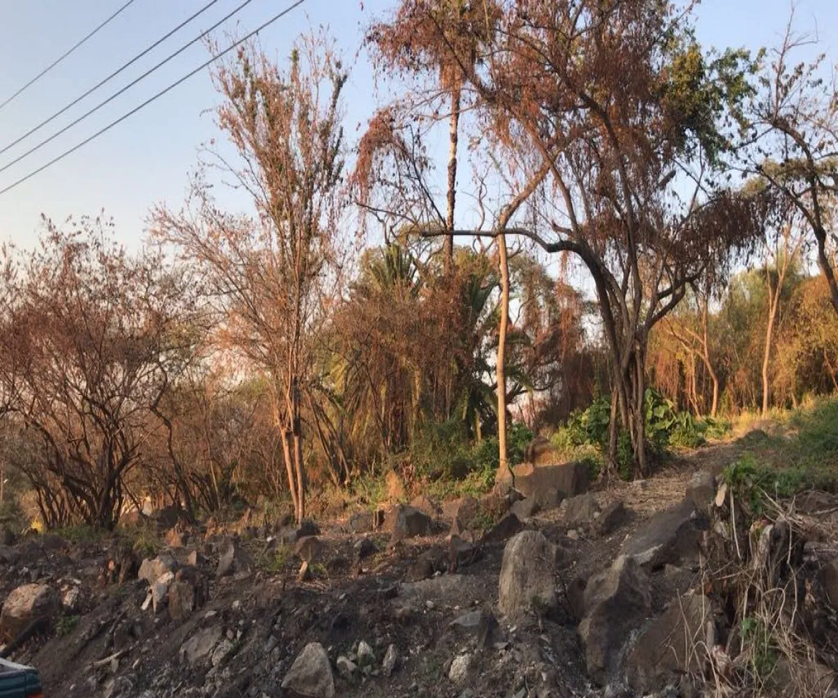 Terreno En Venta,San Antonio Juanacaxtle,Camino del Comodoro, Club Náutico Puente Viejo S/N, Juanacatlán, Jalisco 45887,Camino del Comodoro, Club Náutico Puente Viejo,pedcNWO