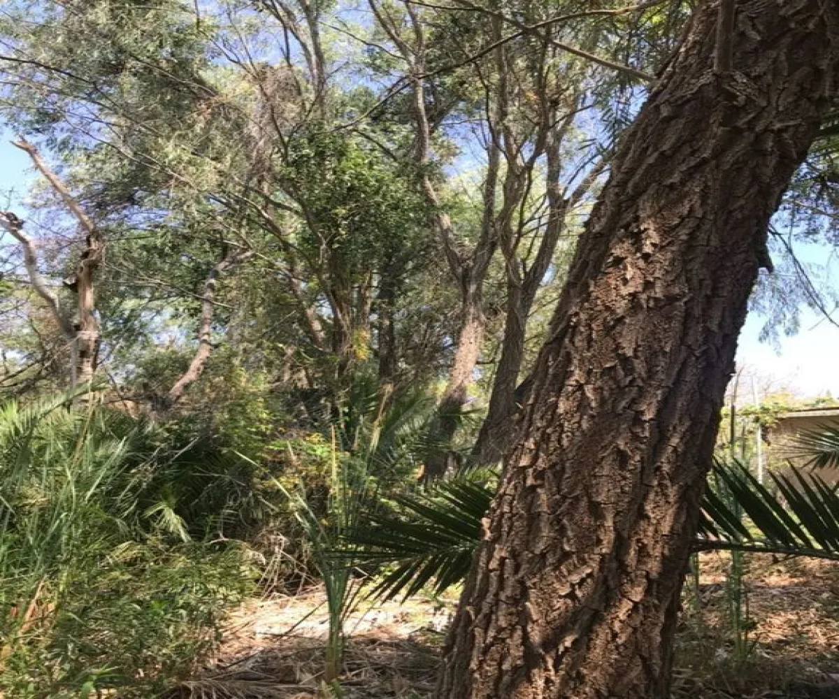 Terreno En Venta,San Antonio Juanacaxtle,Camino del Comodoro, Club Náutico Puente Viejo S/N, Juanacatlán, Jalisco 45887,Camino del Comodoro, Club Náutico Puente Viejo,pedcNWO