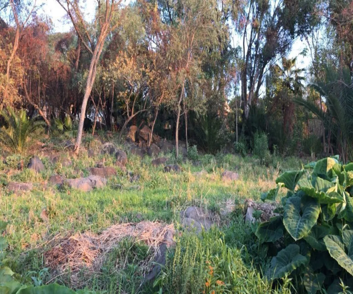 Terreno En Venta,San Antonio Juanacaxtle,Camino del Comodoro, Club Náutico Puente Viejo S/N, Juanacatlán, Jalisco 45887,Camino del Comodoro, Club Náutico Puente Viejo,pedcNWO