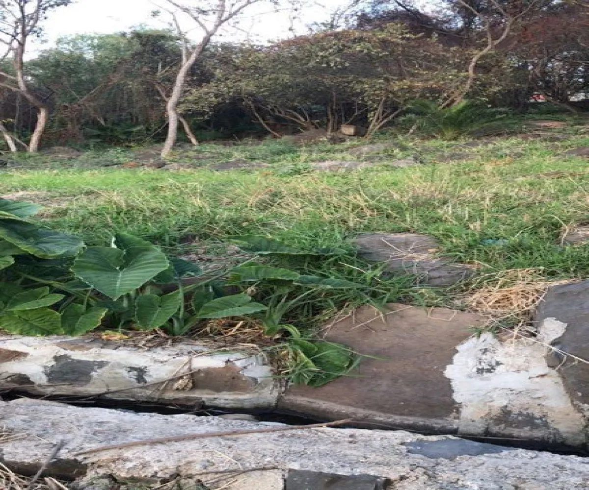 Terreno En Venta,San Antonio Juanacaxtle,Camino del Comodoro, Club Náutico Puente Viejo S/N, Juanacatlán, Jalisco 45887,Camino del Comodoro, Club Náutico Puente Viejo,pedcNWO