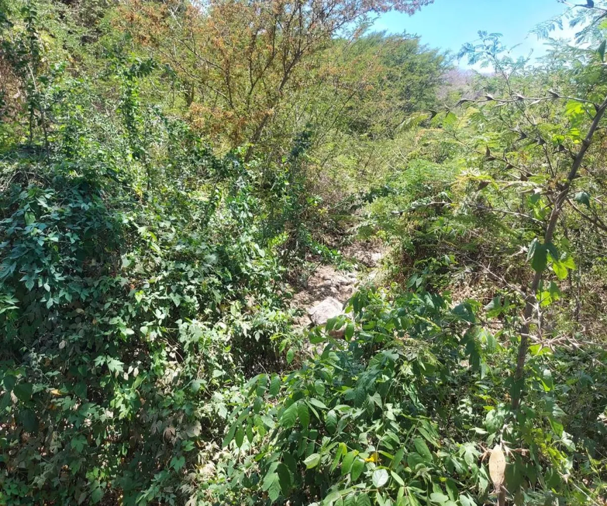 Terreno En Venta,San Juan de Abajo,San Juan de Abajo S/N, Bahía de Banderas, Nayarit 63730,San Juan de Abajo,1,plmmRJu