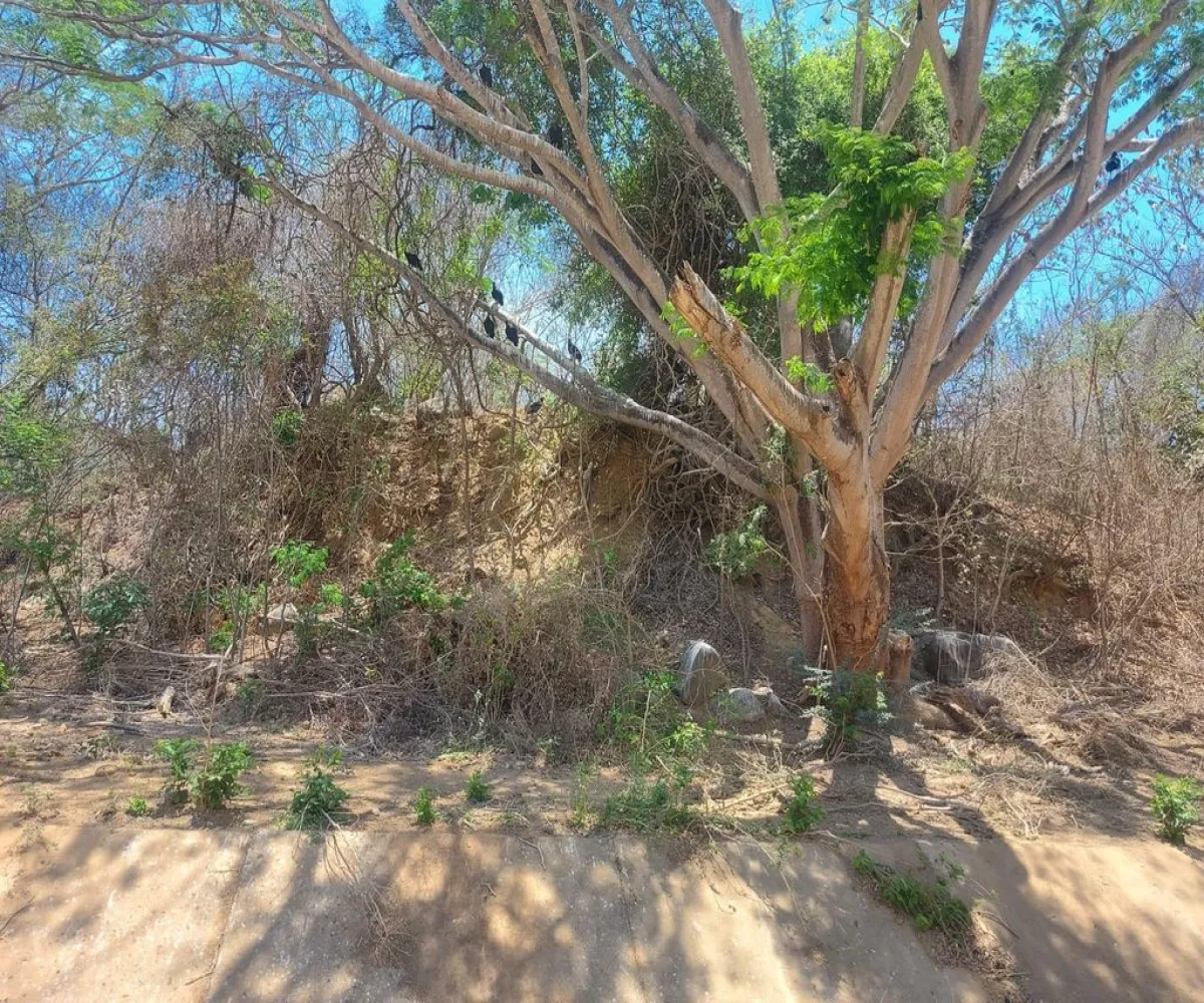 Terreno En Venta,San Juan de Abajo,San Juan de Abajo S/N, Bahía de Banderas, Nayarit 63730,San Juan de Abajo,1,plmmRJu