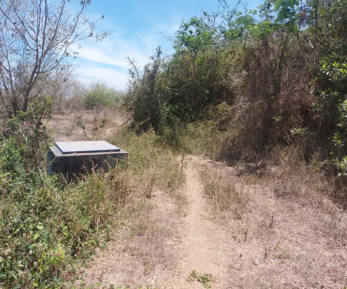 Terreno En Venta,San Juan de Abajo,San Juan de Abajo S/N, Bahía de Banderas, Nayarit 63730,San Juan de Abajo,1,plmmRJu