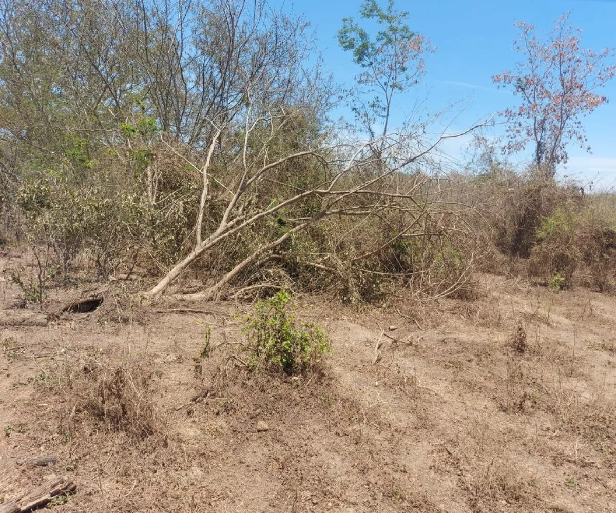 Terreno En Venta,San Juan de Abajo,San Juan de Abajo S/N, Bahía de Banderas, Nayarit 63730,San Juan de Abajo,1,plmmRJu