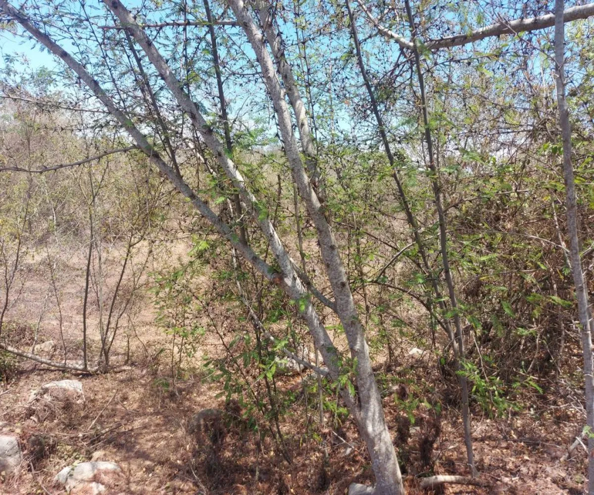 Terreno En Venta,San Juan de Abajo,San Juan de Abajo S/N, Bahía de Banderas, Nayarit 63730,San Juan de Abajo,1,plmmRJu