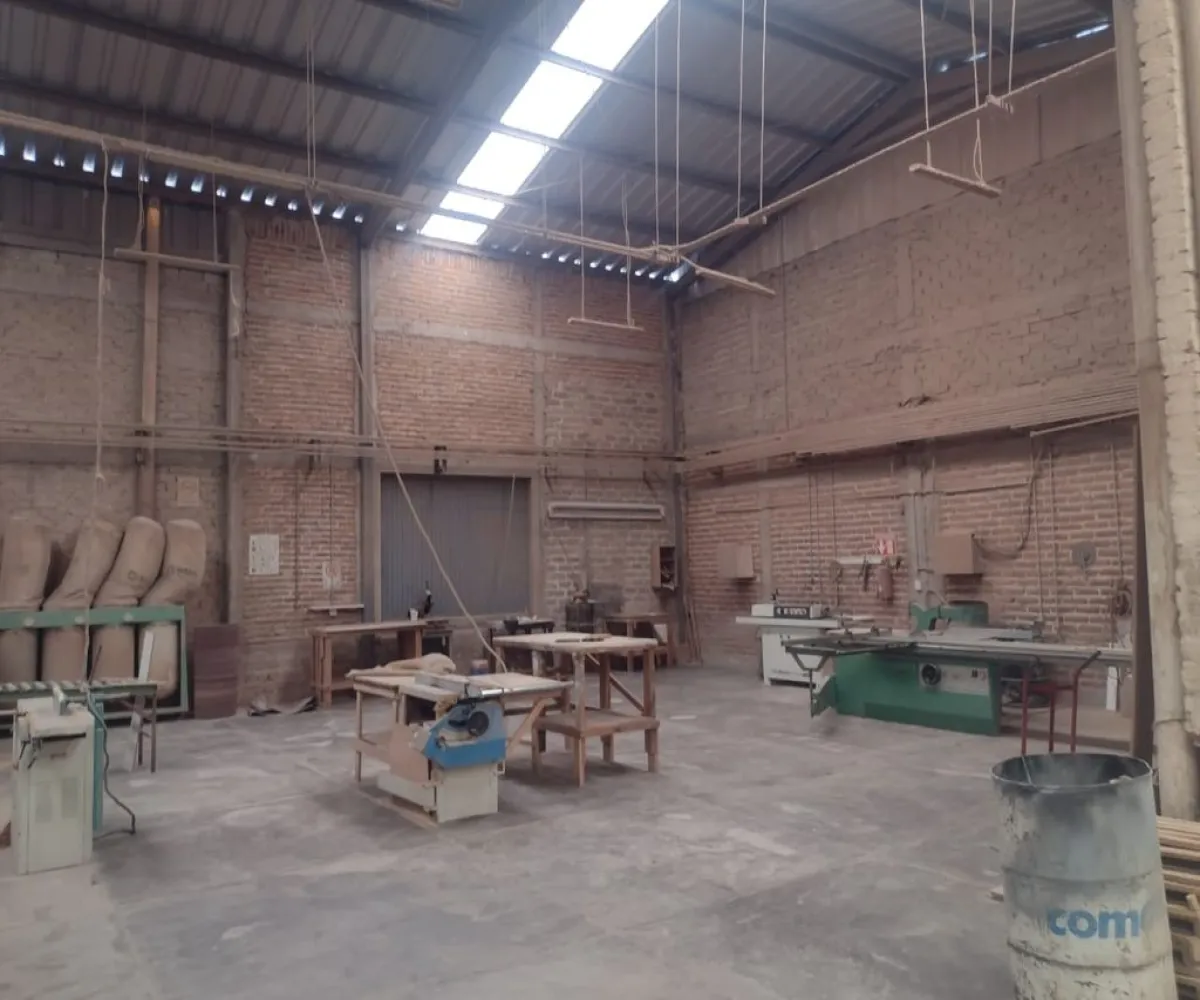 En Renta,Mariano Otero,Avenida Prolongación 710, Zapopan, Jalisco 45067,Avenida Prolongación ,plzrx5L