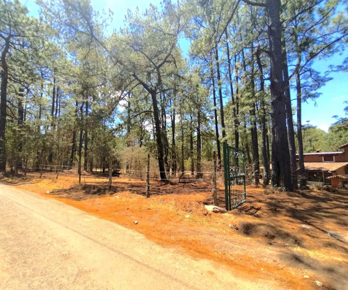 Terreno En Venta,Gral. Lucio Blanco,Calle sn, Teuchitlán, Jalisco 46762,Calle ,pz400sH