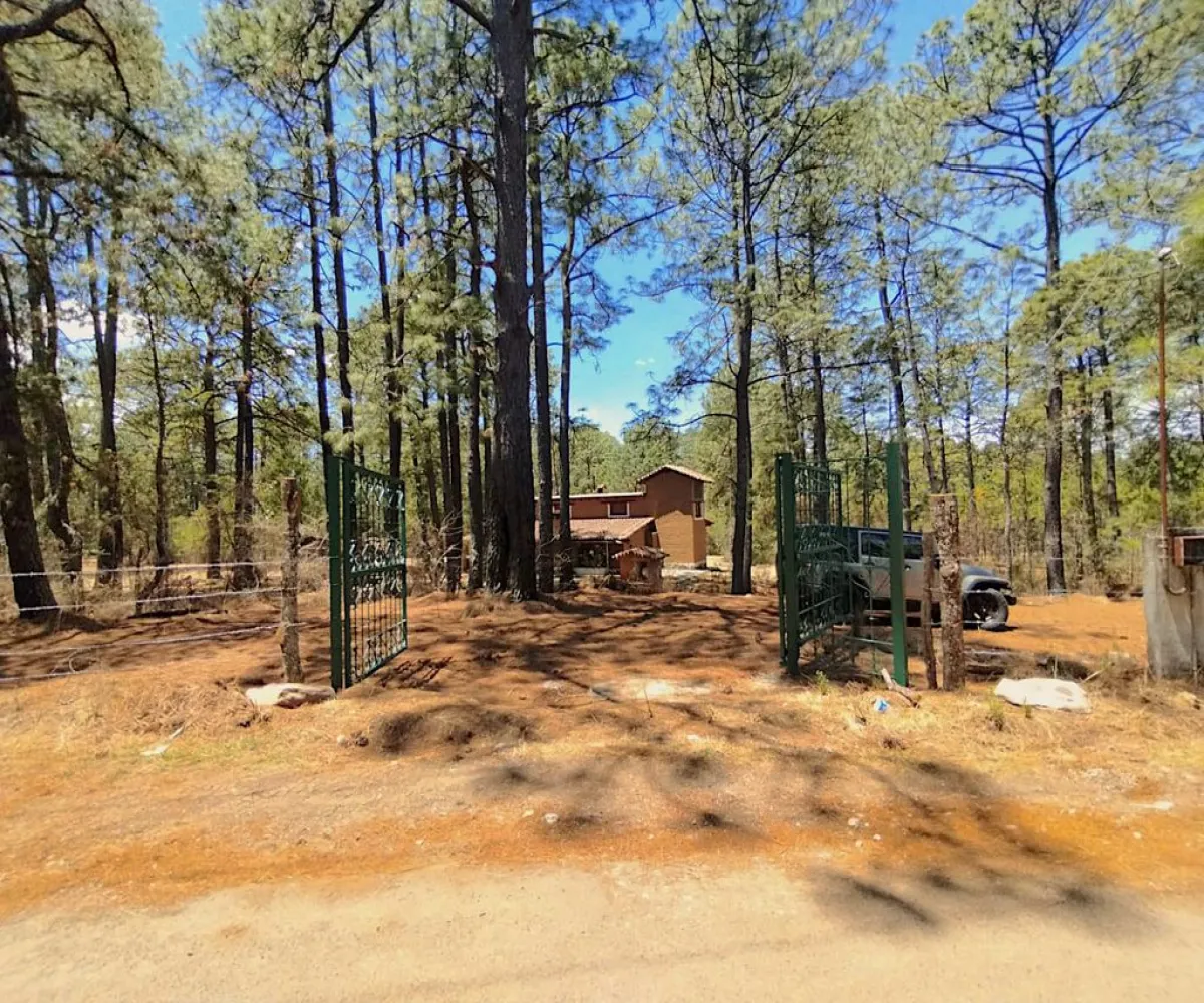 Terreno En Venta,Gral. Lucio Blanco,Calle sn, Teuchitlán, Jalisco 46762,Calle ,pz400sH