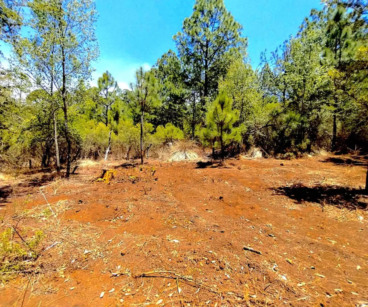 Terreno En Venta,Gral. Lucio Blanco,Calle sn, Teuchitlán, Jalisco 46762,Calle ,pz400sH