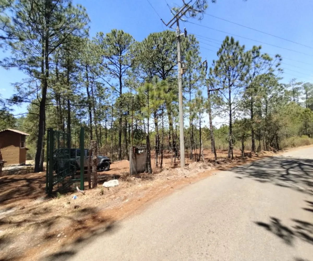 Terreno En Venta,Gral. Lucio Blanco,Calle sn, Teuchitlán, Jalisco 46762,Calle ,pz400sH