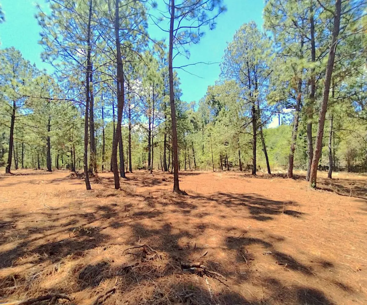 Terreno En Venta,Gral. Lucio Blanco,Calle sn, Teuchitlán, Jalisco 46762,Calle ,pz400sH