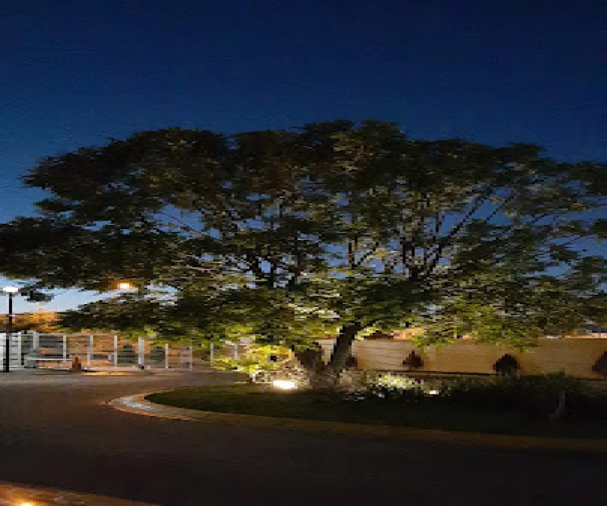 El Fortín,Zapopan, Jalisco 45066,1031 El Fortín,Zapopan, Jalisco 45066,1031