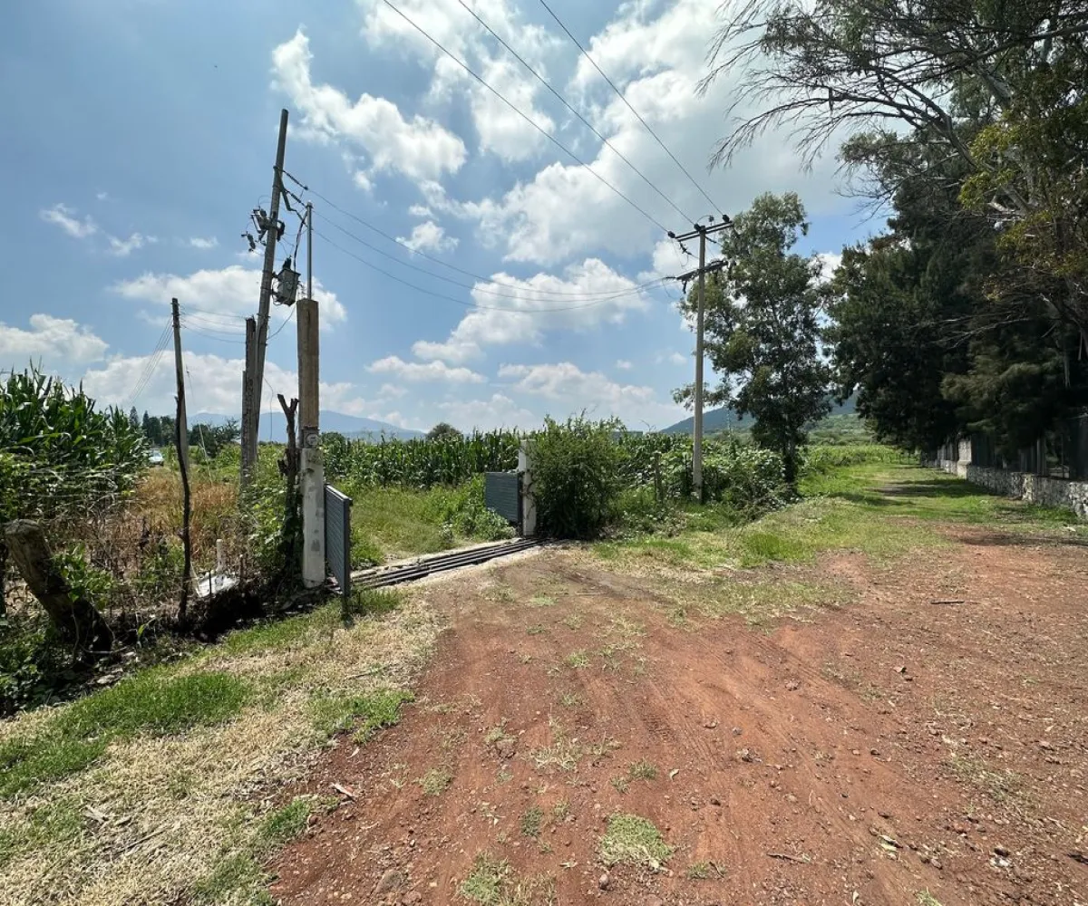 Terreno En Venta,Santa Rosa (La Hacienda de Santa Rosa),Camino Viejo a Santa Rosa 1100, Ixtlahuacán de los Membrillos, Jalisco 45850,Camino Viejo a Santa Rosa,pedDnV8