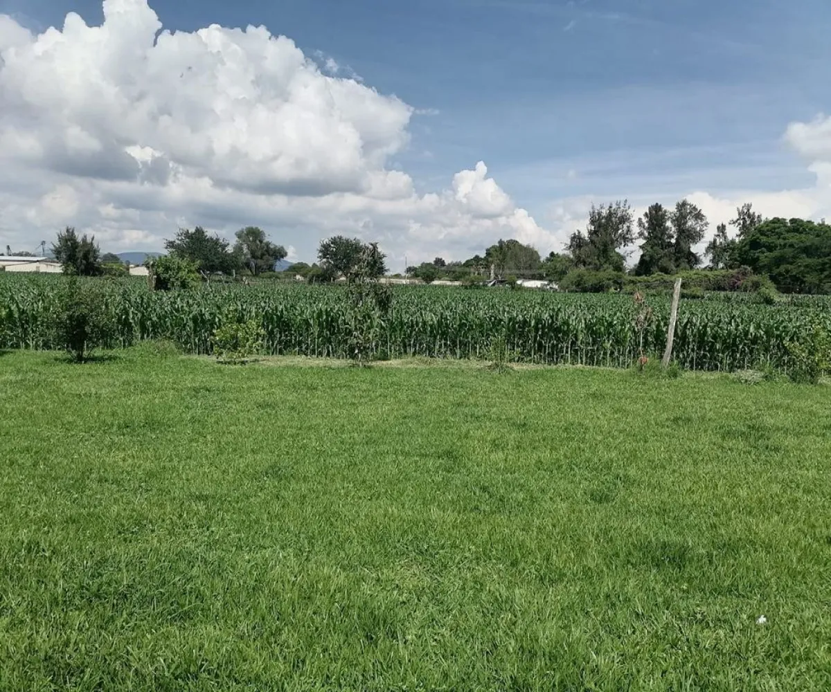 Terreno En Venta,Santa Rosa (La Hacienda de Santa Rosa),Camino Viejo a Santa Rosa 1100, Ixtlahuacán de los Membrillos, Jalisco 45850,Camino Viejo a Santa Rosa,pedDnV8