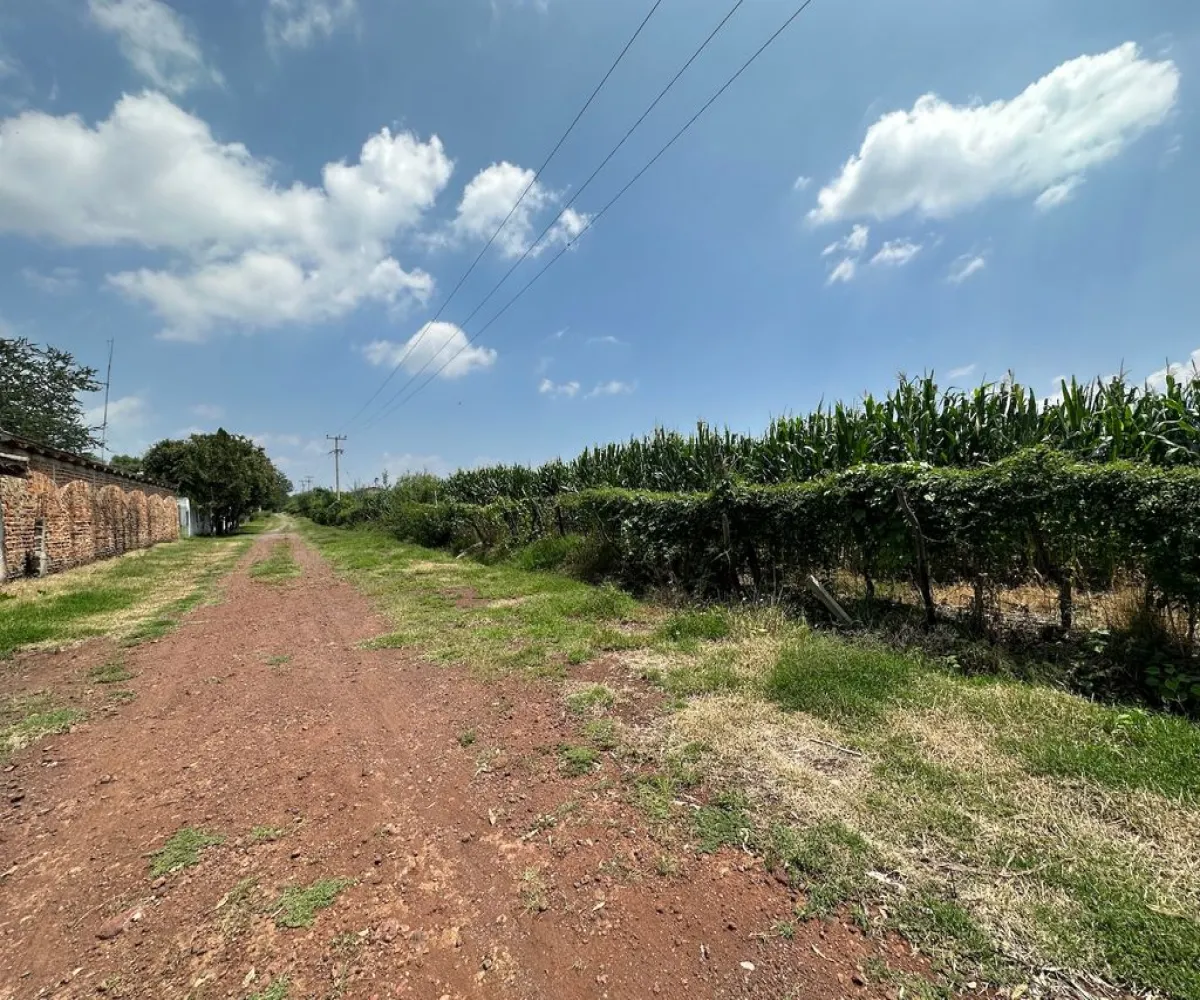 Terreno En Venta,Santa Rosa (La Hacienda de Santa Rosa),Camino Viejo a Santa Rosa 1100, Ixtlahuacán de los Membrillos, Jalisco 45850,Camino Viejo a Santa Rosa,pedDnV8