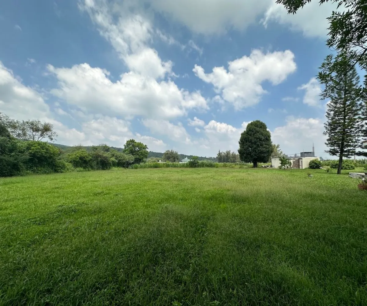 Terreno En Venta,Santa Rosa (La Hacienda de Santa Rosa),Camino Viejo a Santa Rosa 1100, Ixtlahuacán de los Membrillos, Jalisco 45850,Camino Viejo a Santa Rosa,pedDnV8