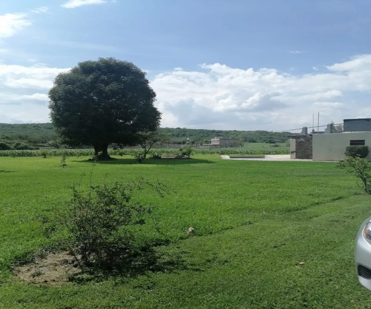 Terreno En Venta,Santa Rosa (La Hacienda de Santa Rosa),Camino Viejo a Santa Rosa 1100, Ixtlahuacán de los Membrillos, Jalisco 45850,Camino Viejo a Santa Rosa,pedDnV8