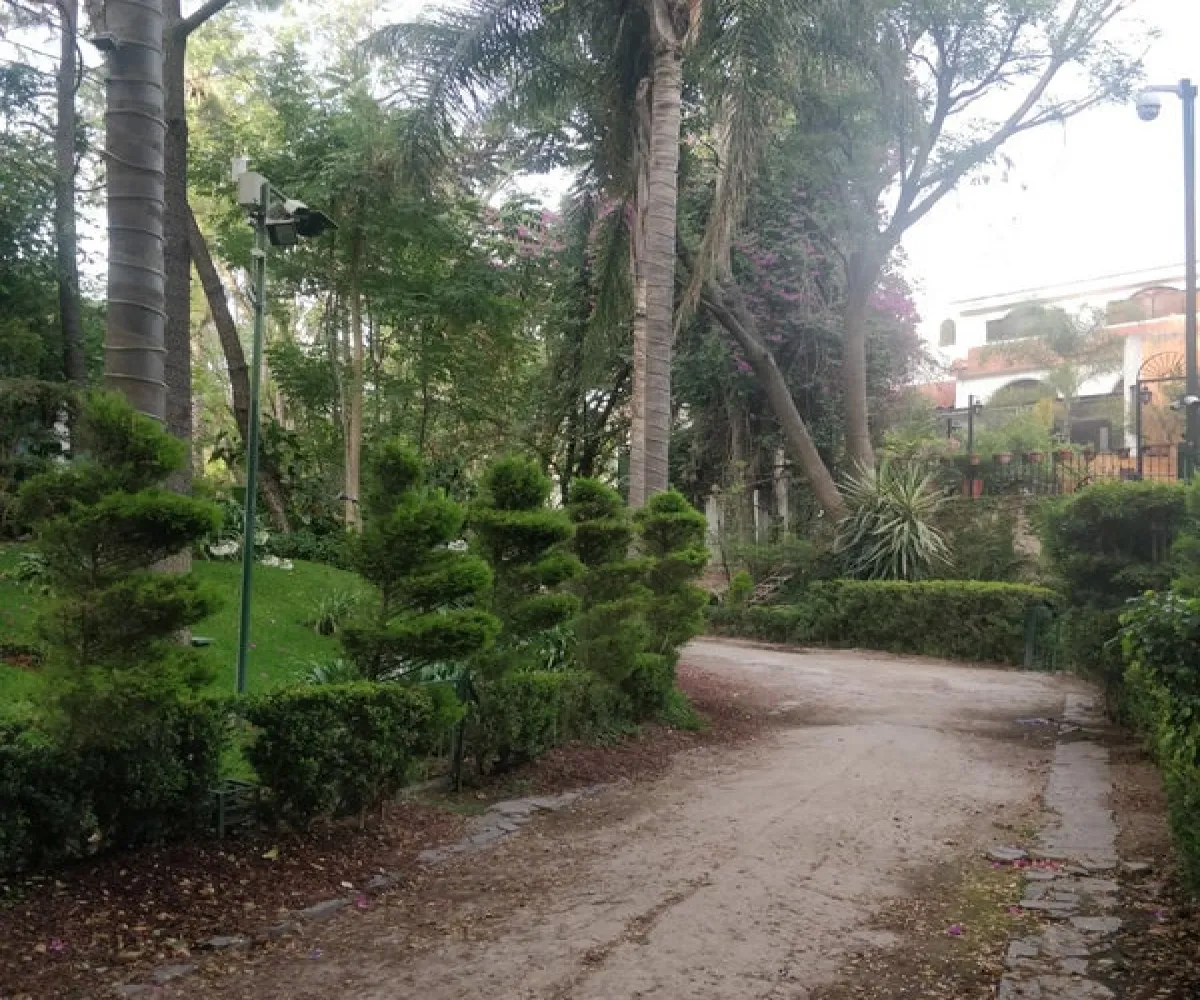 Lomas Altas,Zapopan, Jalisco 45128,1014 Lomas Altas,Zapopan, Jalisco 45128,1014