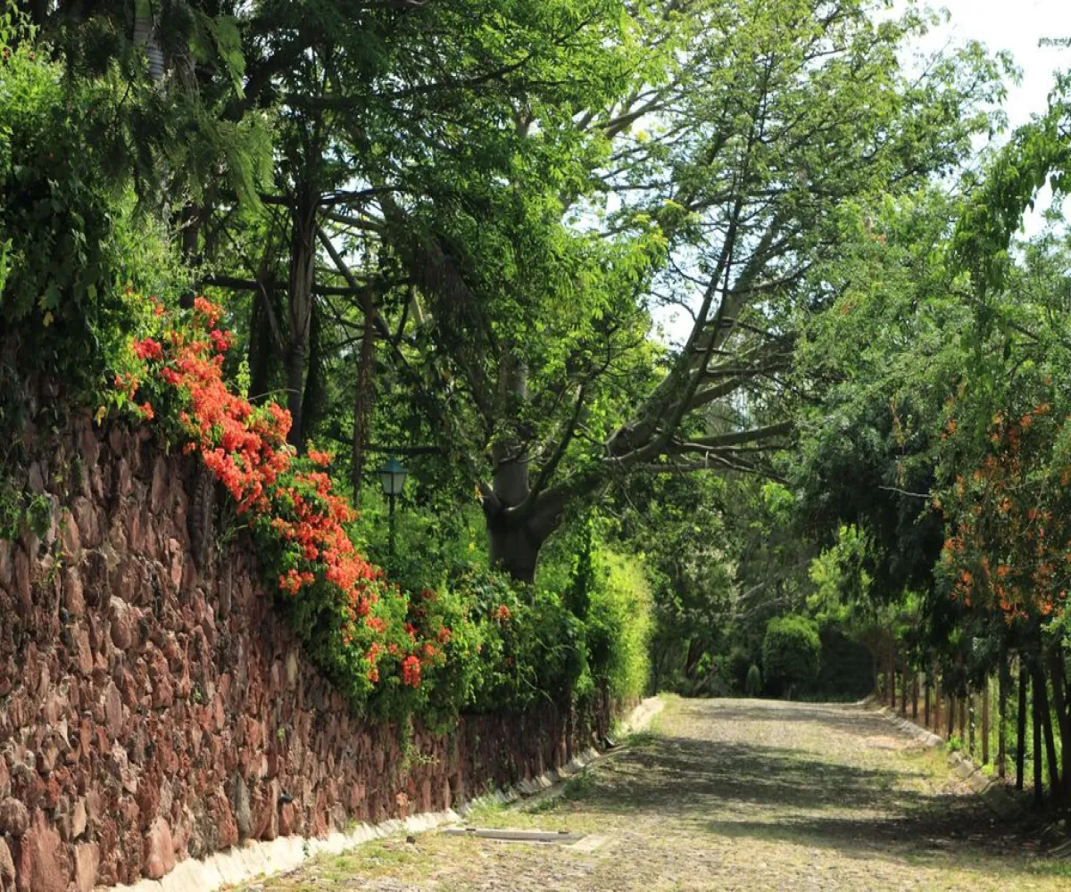 Terreno En Venta,Ajijic Centro,Carr. Jocotepec-Chapala, Fraccionamiento Tres Cañadas Km 57.5, Chapala, Jalisco 45925,Carr. Jocotepec-Chapala , Fraccionamiento Tres Cañadas ,psGhCeJ Terreno En Venta,Ajijic Centro,Carr. Jocotepec-Chapala, Fraccionamiento Tres Cañadas Km 57.5, Chapala, Jalisco 45925,Carr. Jocotepec-Chapala , Fraccionamiento Tres Cañadas ,psGhCeJ