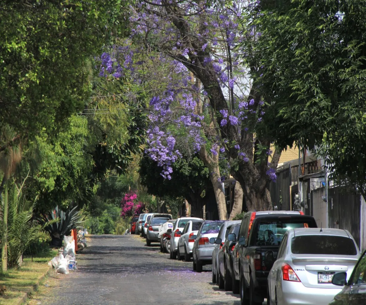 casas, casas en renta, casas en venta, departamentos, en venta, departamentos en renta, Ciudad Granja, Zapopan, Jalisco 45010,