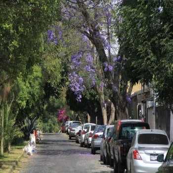casas, casas en renta, casas en venta, departamentos, en venta, departamentos en renta, Ciudad Granja, Zapopan, Jalisco 45010,