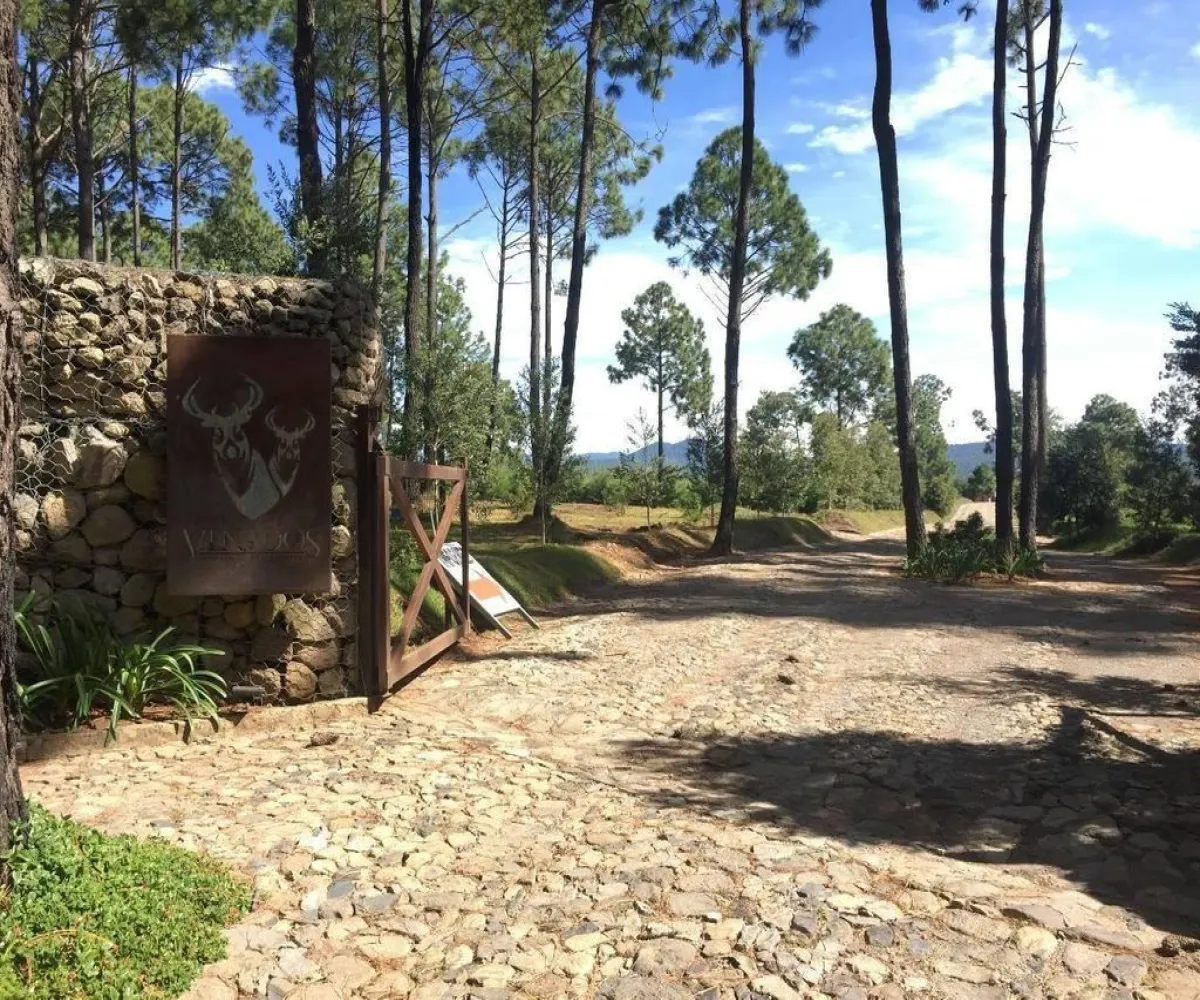 Terreno En Venta,Tapalpa,Terreno 91 Hacienda San Francisco Coto Valle Abierto 91, Tapalpa, Jalisco 49340,Terreno 91 Hacienda San Francisco Coto Valle Abierto ,p01MRkg