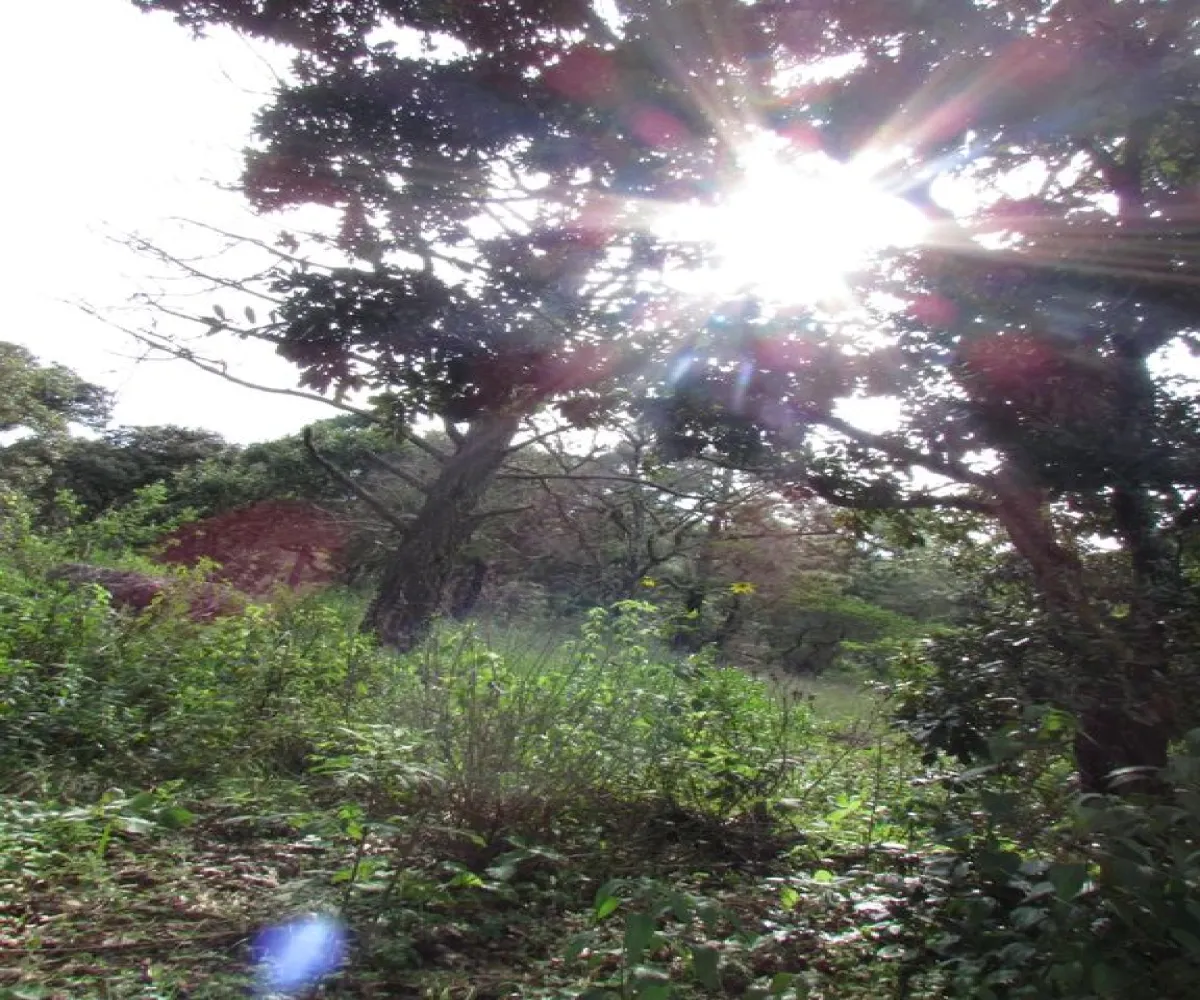 Terreno En Venta,Tapalpa,Terreno 91 Hacienda San Francisco Coto Valle Abierto 91, Tapalpa, Jalisco 49340,Terreno 91 Hacienda San Francisco Coto Valle Abierto ,p01MRkg