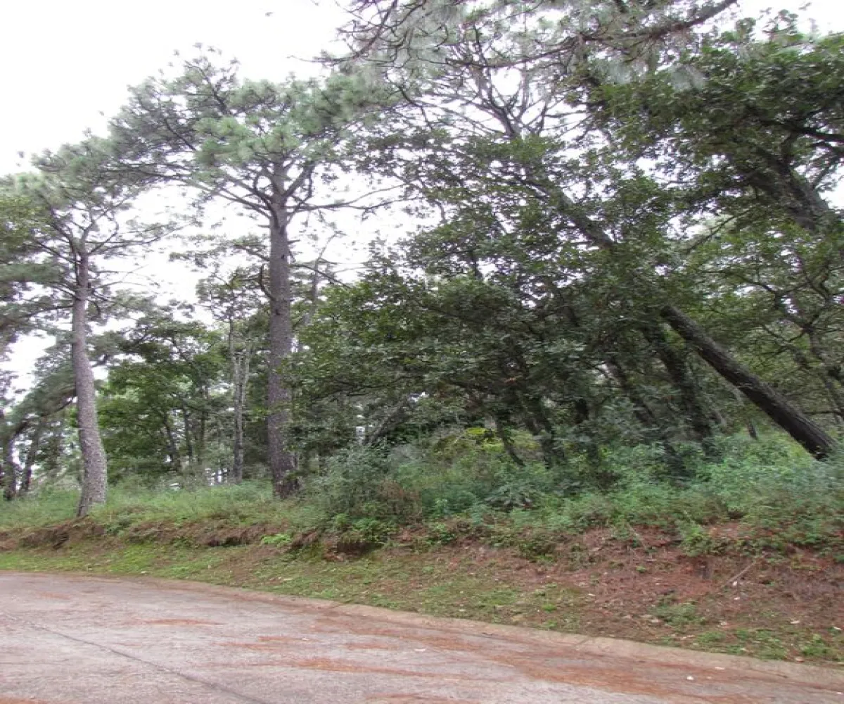 Terreno En Venta,Tapalpa,Terreno 91 Hacienda San Francisco Coto Valle Abierto 91, Tapalpa, Jalisco 49340,Terreno 91 Hacienda San Francisco Coto Valle Abierto ,p01MRkg