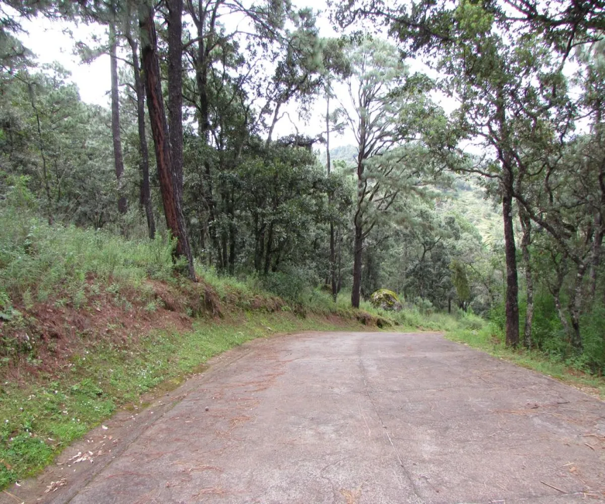 Terreno En Venta,Tapalpa,Terreno 91 Hacienda San Francisco Coto Valle Abierto 91, Tapalpa, Jalisco 49340,Terreno 91 Hacienda San Francisco Coto Valle Abierto ,p01MRkg