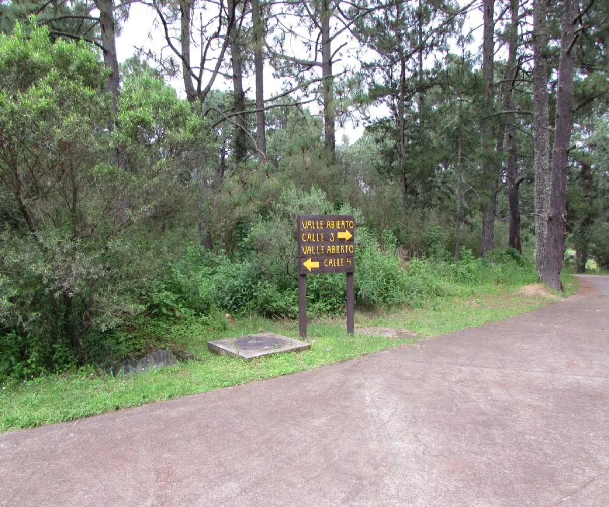 Terreno En Venta,Tapalpa,Terreno 91 Hacienda San Francisco Coto Valle Abierto 91, Tapalpa, Jalisco 49340,Terreno 91 Hacienda San Francisco Coto Valle Abierto ,p01MRkg