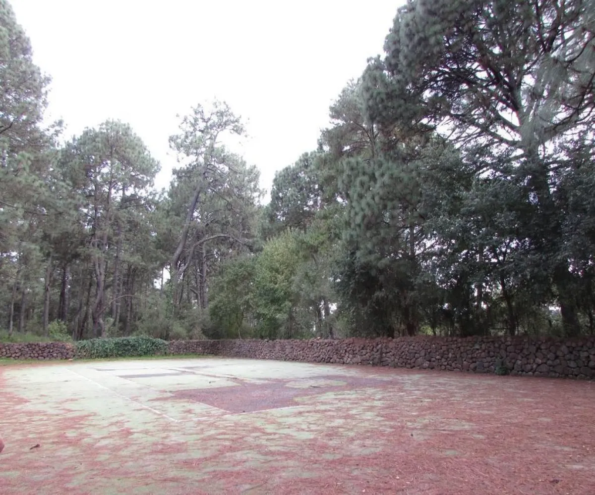 Terreno En Venta,Tapalpa,Terreno 91 Hacienda San Francisco Coto Valle Abierto 91, Tapalpa, Jalisco 49340,Terreno 91 Hacienda San Francisco Coto Valle Abierto ,p01MRkg