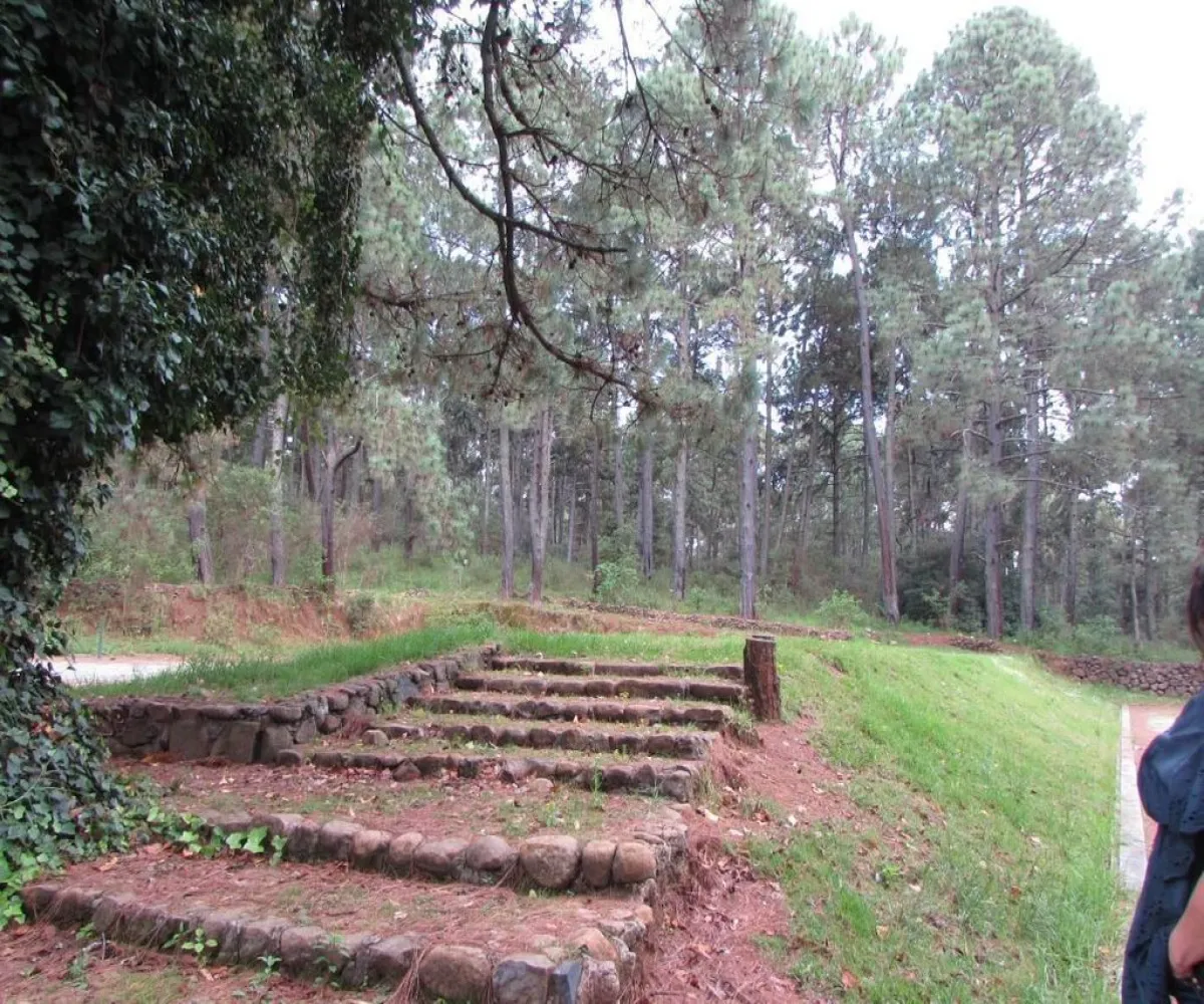 Terreno En Venta,Tapalpa,Terreno 91 Hacienda San Francisco Coto Valle Abierto 91, Tapalpa, Jalisco 49340,Terreno 91 Hacienda San Francisco Coto Valle Abierto ,p01MRkg