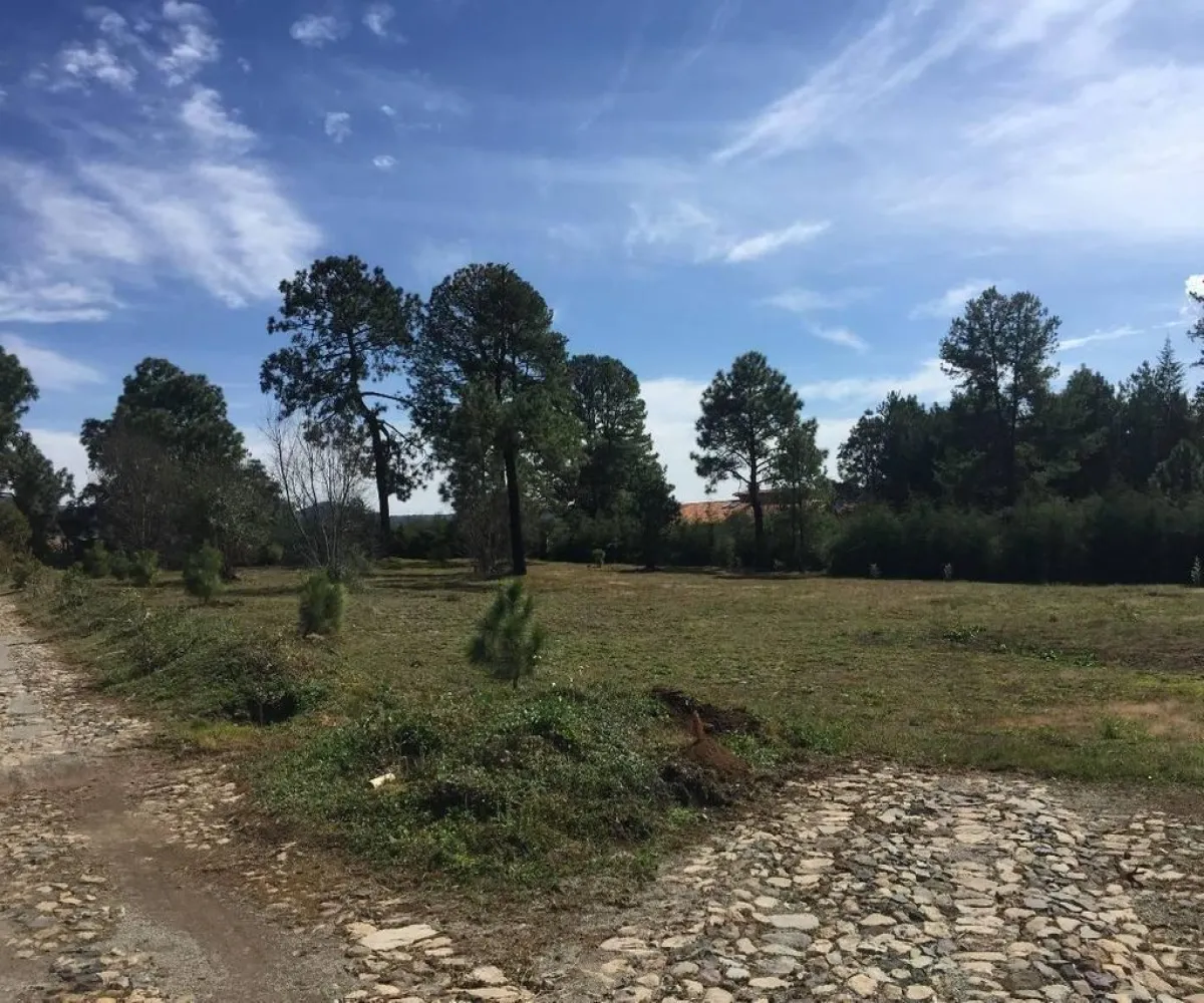 Terreno En Venta,Tapalpa,Terreno 91 Hacienda San Francisco Coto Valle Abierto 91, Tapalpa, Jalisco 49340,Terreno 91 Hacienda San Francisco Coto Valle Abierto ,p01MRkg