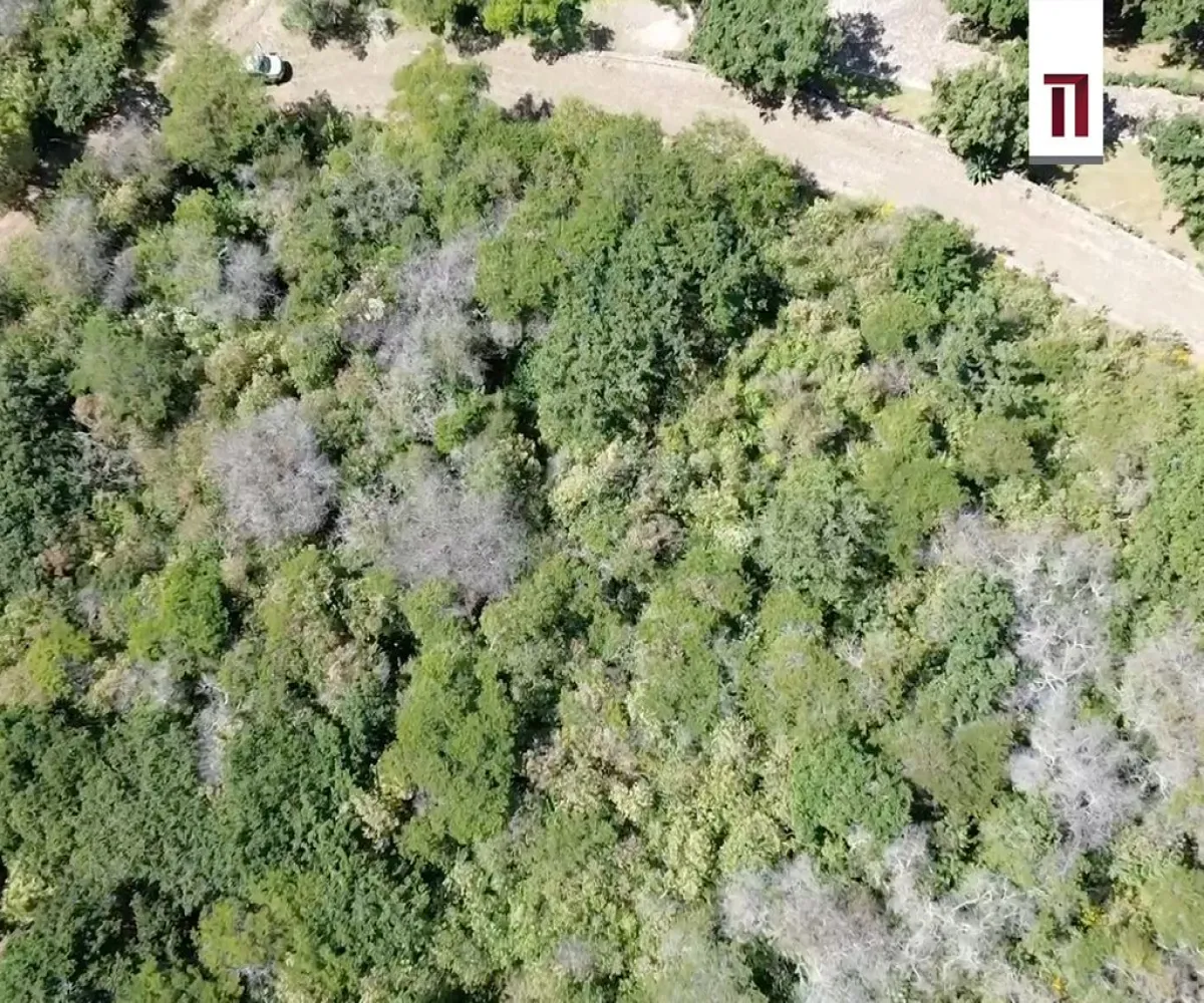 Terreno En Venta,Tapalpa,Reserva Los Magos s/n, Tapalpa, Jalisco 49340,Reserva Los Magos,p3tzQXw