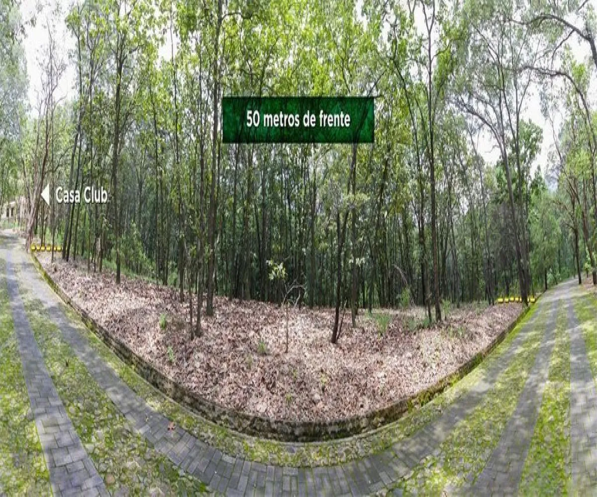 Terreno En Venta,El Arenal,Reserva de los Encinos S/N, El Arenal, Jalisco 45350,Reserva de los Encinos ,pEhCeEw Terreno En Venta,El Arenal,Reserva de los Encinos S/N, El Arenal, Jalisco 45350,Reserva de los Encinos ,pEhCeEw