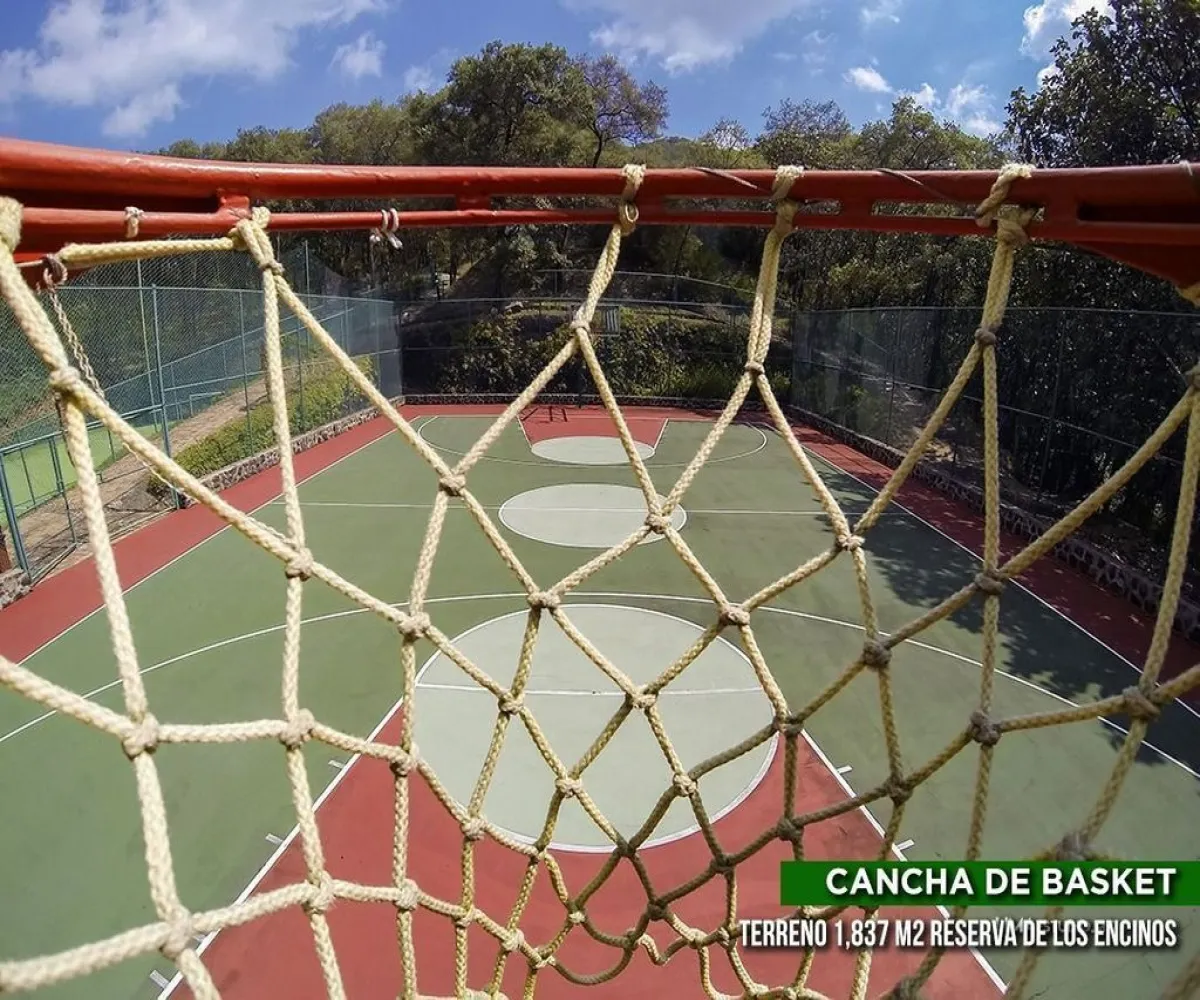 Terreno En Venta,El Arenal,Reserva de los Encinos S/N, El Arenal, Jalisco 45350,Reserva de los Encinos ,pEhCeEw Terreno En Venta,El Arenal,Reserva de los Encinos S/N, El Arenal, Jalisco 45350,Reserva de los Encinos ,pEhCeEw