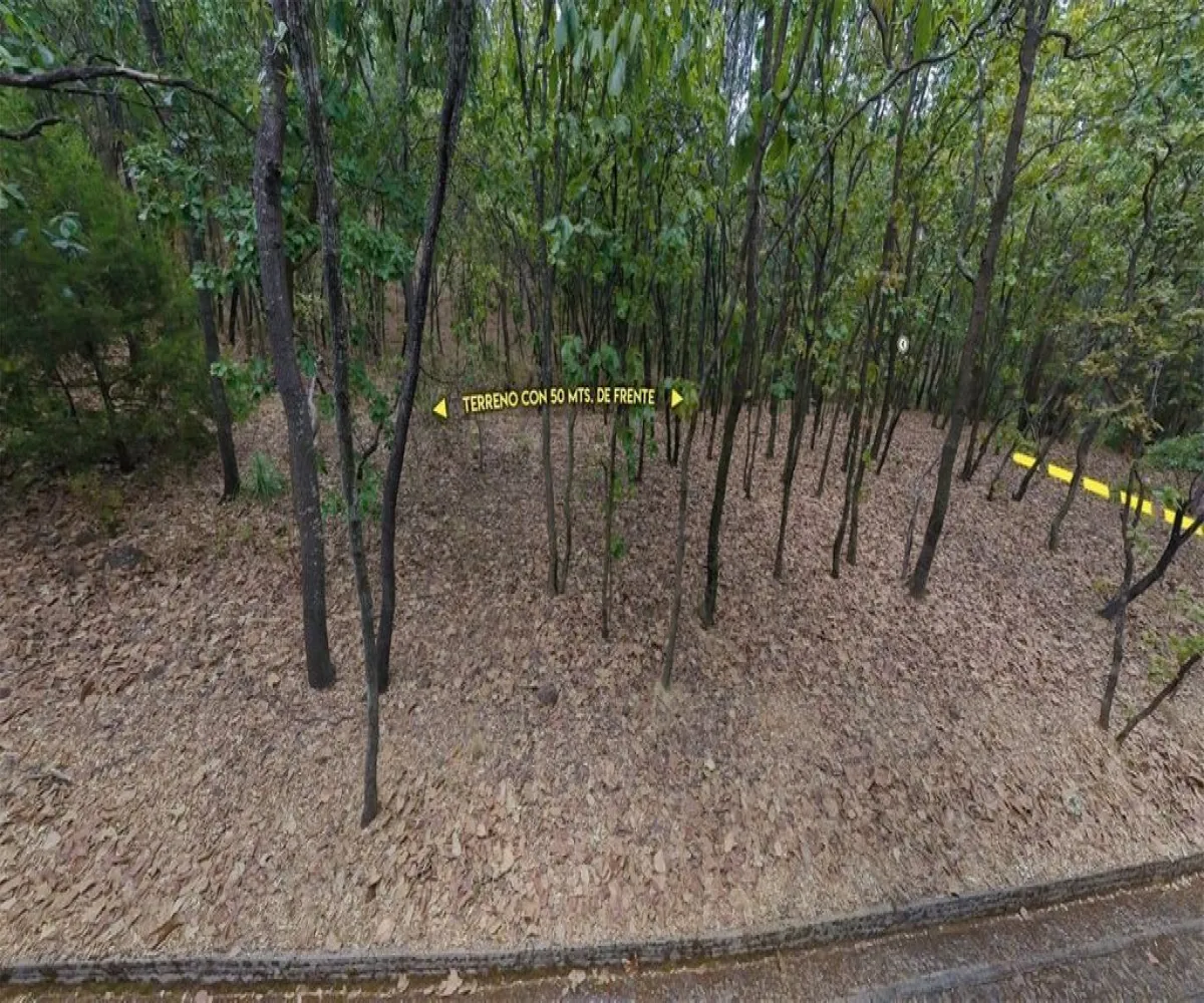 Terreno En Venta,El Arenal,Reserva de los Encinos S/N, El Arenal, Jalisco 45350,Reserva de los Encinos ,pEhCeEw Terreno En Venta,El Arenal,Reserva de los Encinos S/N, El Arenal, Jalisco 45350,Reserva de los Encinos ,pEhCeEw