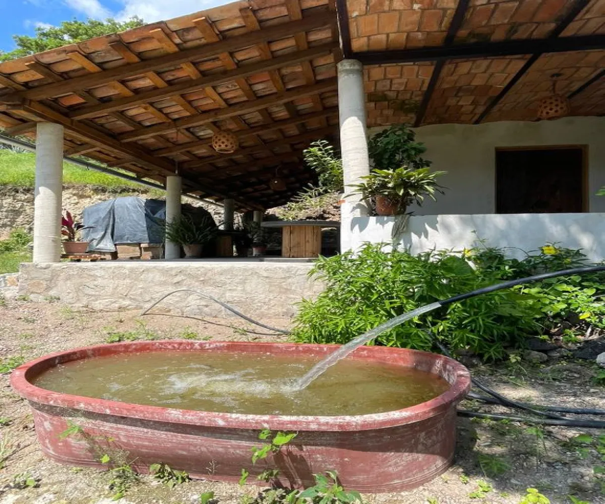 En Venta,La Cuesta,Carretera a laCuesta KM, 9, Talpa de Allende, Jalisco 48250, 2 Habitaciones,1 Baño,Carretera a laCuesta,1,pHz4F2t En Venta,La Cuesta,Carretera a laCuesta KM, 9, Talpa de Allende, Jalisco 48250, 2 Habitaciones,1 Baño,Carretera a laCuesta,1,pHz4F2t
