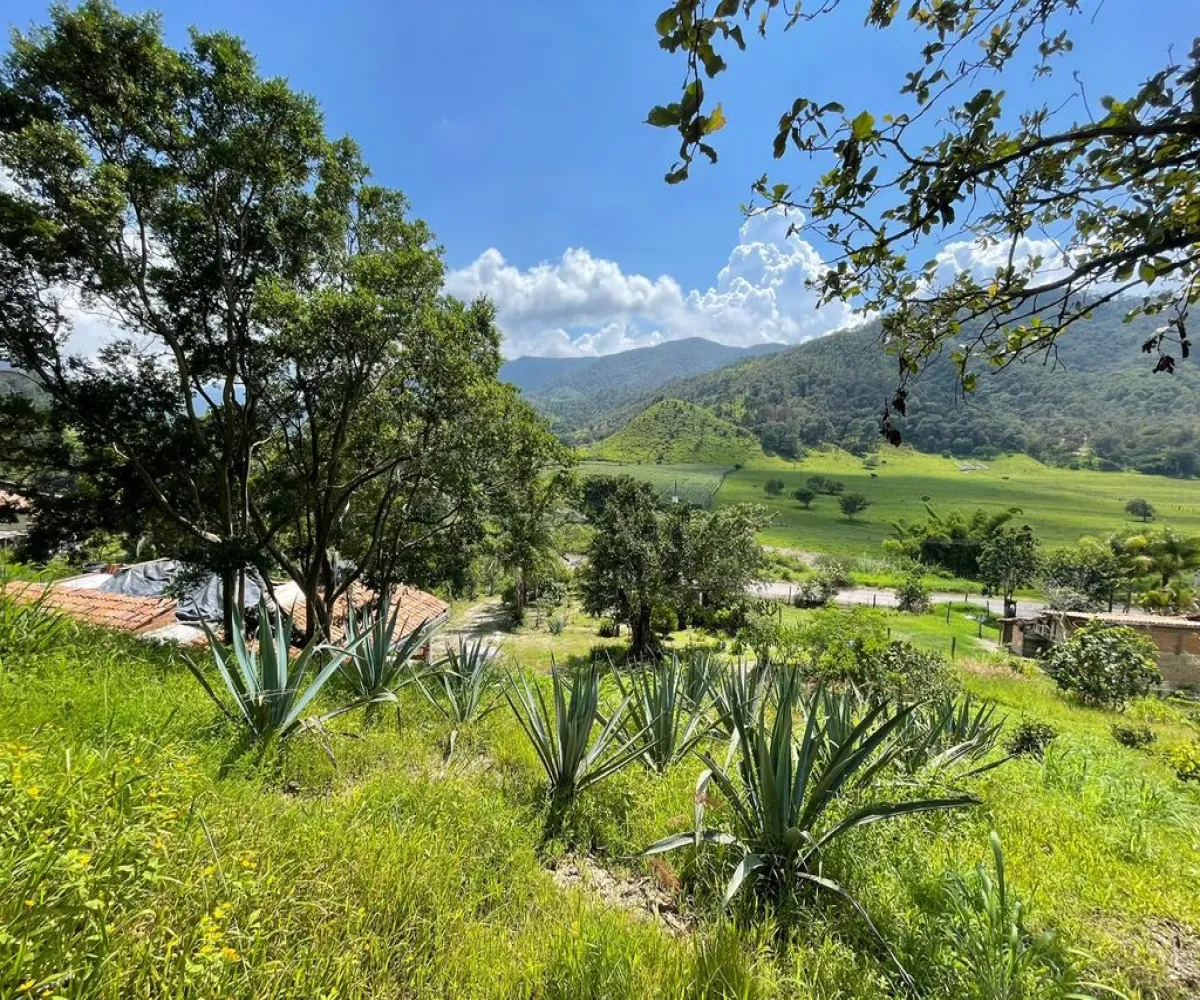 En Venta,La Cuesta,Carretera a laCuesta KM, 9, Talpa de Allende, Jalisco 48250, 2 Habitaciones,1 Baño,Carretera a laCuesta,1,pHz4F2t En Venta,La Cuesta,Carretera a laCuesta KM, 9, Talpa de Allende, Jalisco 48250, 2 Habitaciones,1 Baño,Carretera a laCuesta,1,pHz4F2t