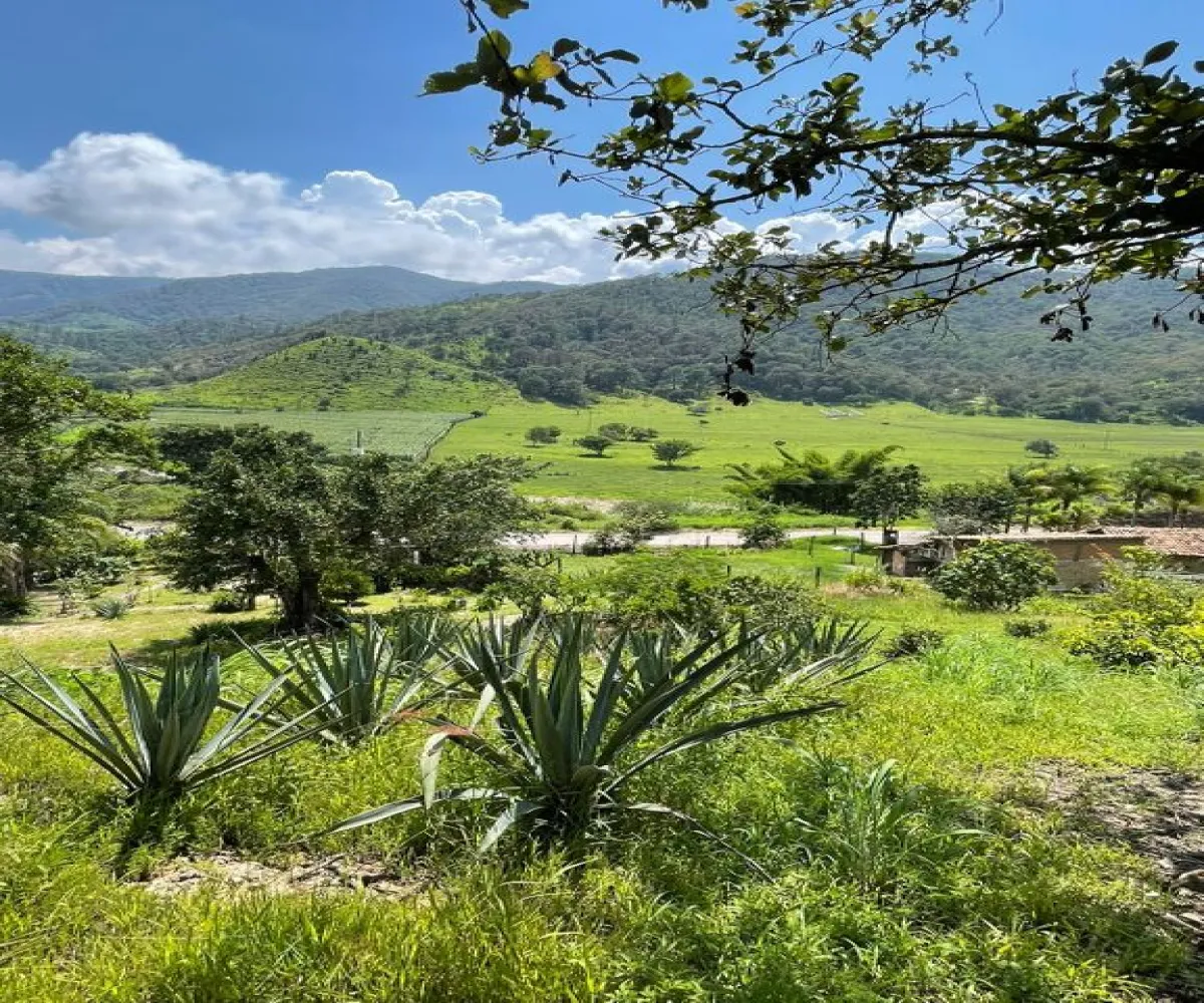 En Venta,La Cuesta,Carretera a laCuesta KM, 9, Talpa de Allende, Jalisco 48250, 2 Habitaciones,1 Baño,Carretera a laCuesta,1,pHz4F2t En Venta,La Cuesta,Carretera a laCuesta KM, 9, Talpa de Allende, Jalisco 48250, 2 Habitaciones,1 Baño,Carretera a laCuesta,1,pHz4F2t