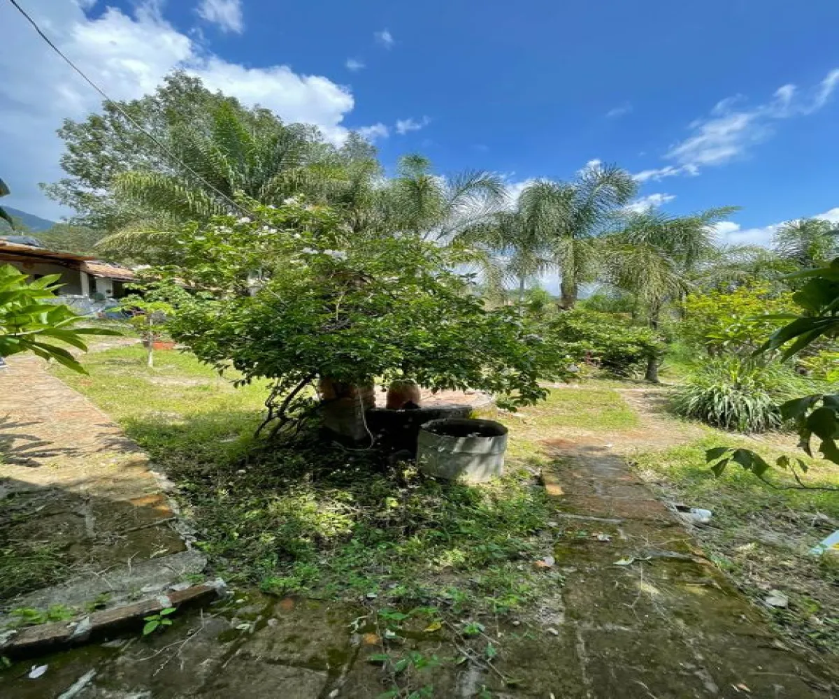 En Venta,La Cuesta,Carretera a laCuesta KM, 9, Talpa de Allende, Jalisco 48250, 2 Habitaciones,1 Baño,Carretera a laCuesta,1,pHz4F2t En Venta,La Cuesta,Carretera a laCuesta KM, 9, Talpa de Allende, Jalisco 48250, 2 Habitaciones,1 Baño,Carretera a laCuesta,1,pHz4F2t
