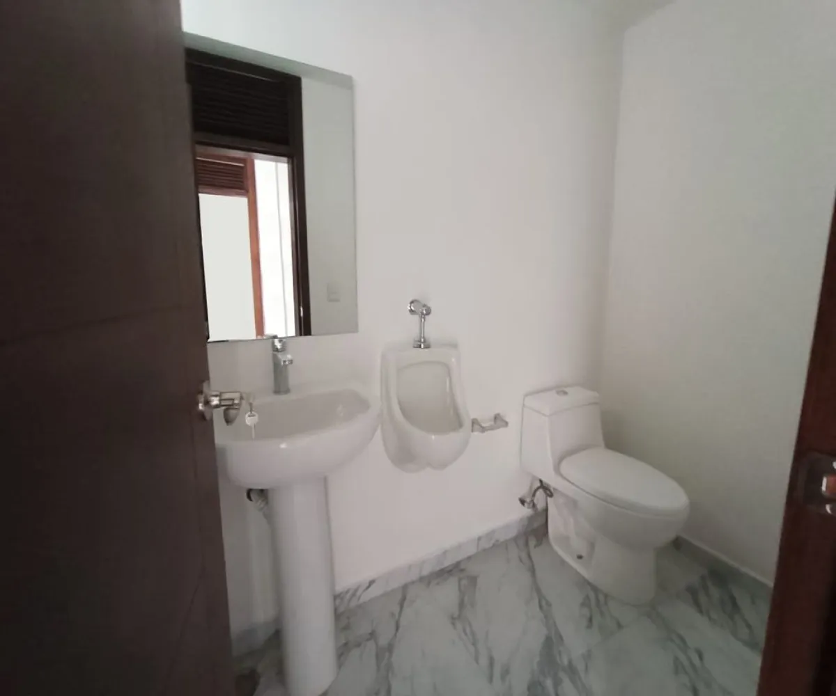 Local En Renta,Chapalita Inn,Avenida de las Rosas 800 B, Zapopan, Jalisco 44500,Avenida de las Rosas,pe1Iqrd Local En Renta,Chapalita Inn,Avenida de las Rosas 800 B, Zapopan, Jalisco 44500,Avenida de las Rosas,pe1Iqrd