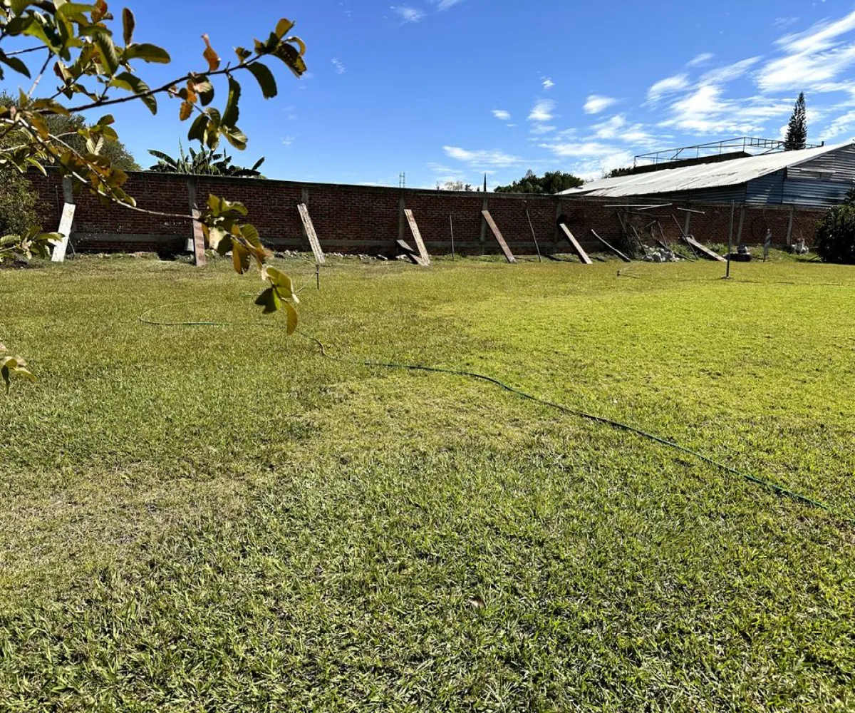 Terreno En Venta,Los Sauces,Vereda de las violetas 25, Tlajomulco de Zúñiga, Jalisco 45654,Vereda de las violetas,pli8ghk Terreno En Venta,Los Sauces,Vereda de las violetas 25, Tlajomulco de Zúñiga, Jalisco 45654,Vereda de las violetas,pli8ghk