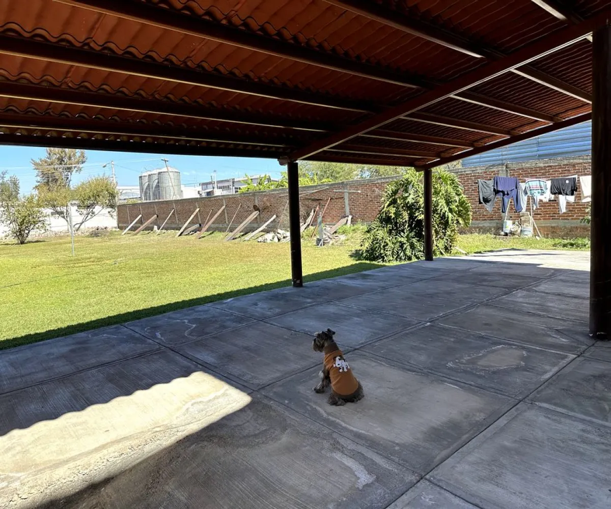 Terreno En Venta,Los Sauces,Vereda de las violetas 25, Tlajomulco de Zúñiga, Jalisco 45654,Vereda de las violetas,pli8ghk Terreno En Venta,Los Sauces,Vereda de las violetas 25, Tlajomulco de Zúñiga, Jalisco 45654,Vereda de las violetas,pli8ghk