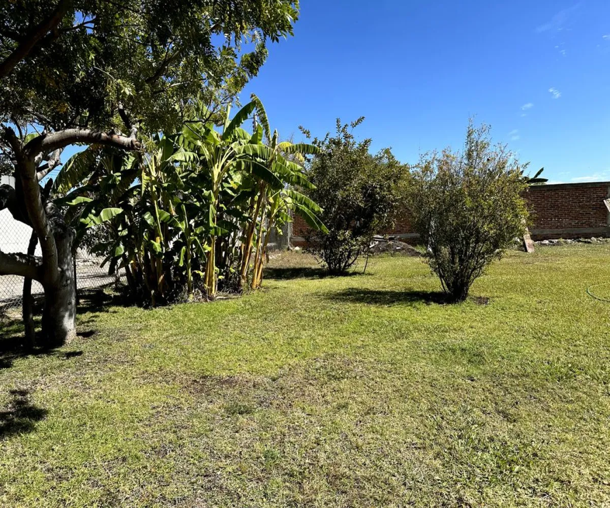 Terreno En Venta,Los Sauces,Vereda de las violetas 25, Tlajomulco de Zúñiga, Jalisco 45654,Vereda de las violetas,pli8ghk Terreno En Venta,Los Sauces,Vereda de las violetas 25, Tlajomulco de Zúñiga, Jalisco 45654,Vereda de las violetas,pli8ghk