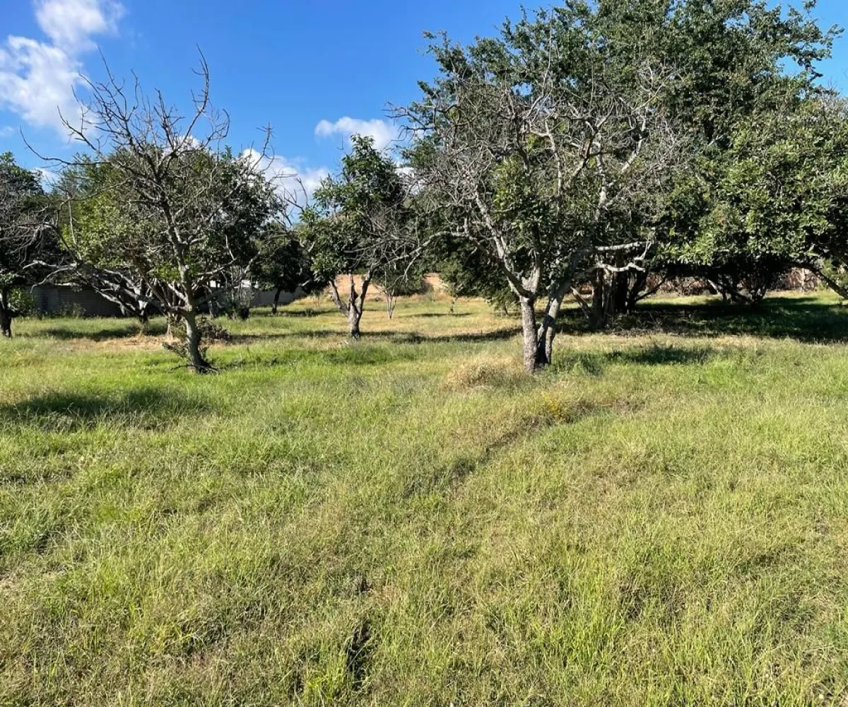Terreno En Venta,El Cortijo,Av. El Cortijo S/N, Tlajomulco de Zúñiga, Jalisco 45640,Av. El Cortijo,pmKrzPr Terreno En Venta,El Cortijo,Av. El Cortijo S/N, Tlajomulco de Zúñiga, Jalisco 45640,Av. El Cortijo,pmKrzPr