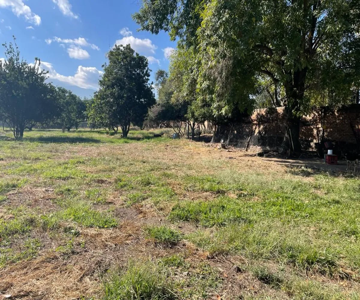 Terreno En Venta,El Cortijo,Av. El Cortijo S/N, Tlajomulco de Zúñiga, Jalisco 45640,Av. El Cortijo,pmKrzPr Terreno En Venta,El Cortijo,Av. El Cortijo S/N, Tlajomulco de Zúñiga, Jalisco 45640,Av. El Cortijo,pmKrzPr