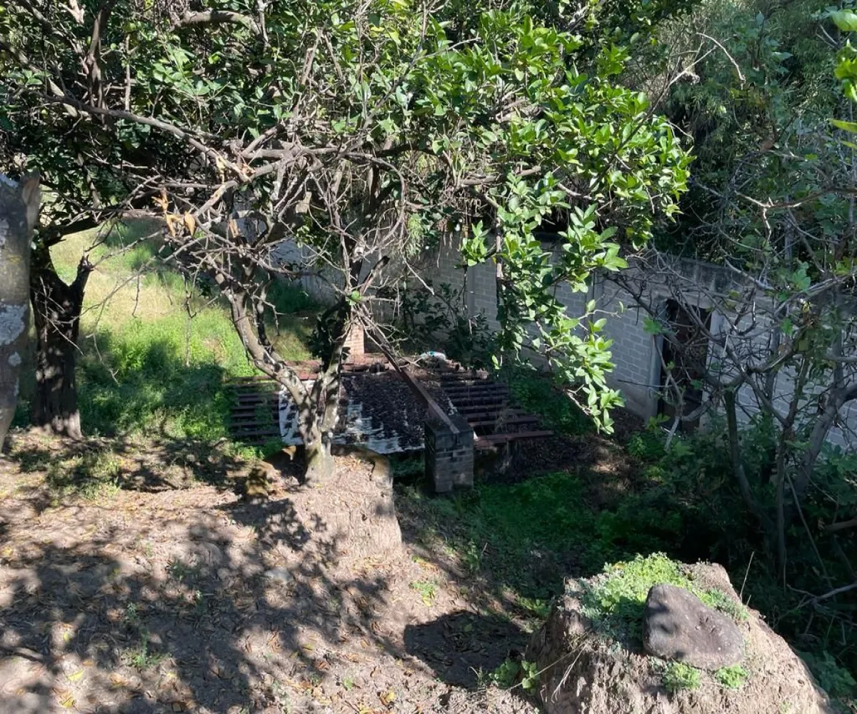 Terreno En Venta,El Cortijo,Av. El Cortijo S/N, Tlajomulco de Zúñiga, Jalisco 45640,Av. El Cortijo,pmKrzPr Terreno En Venta,El Cortijo,Av. El Cortijo S/N, Tlajomulco de Zúñiga, Jalisco 45640,Av. El Cortijo,pmKrzPr