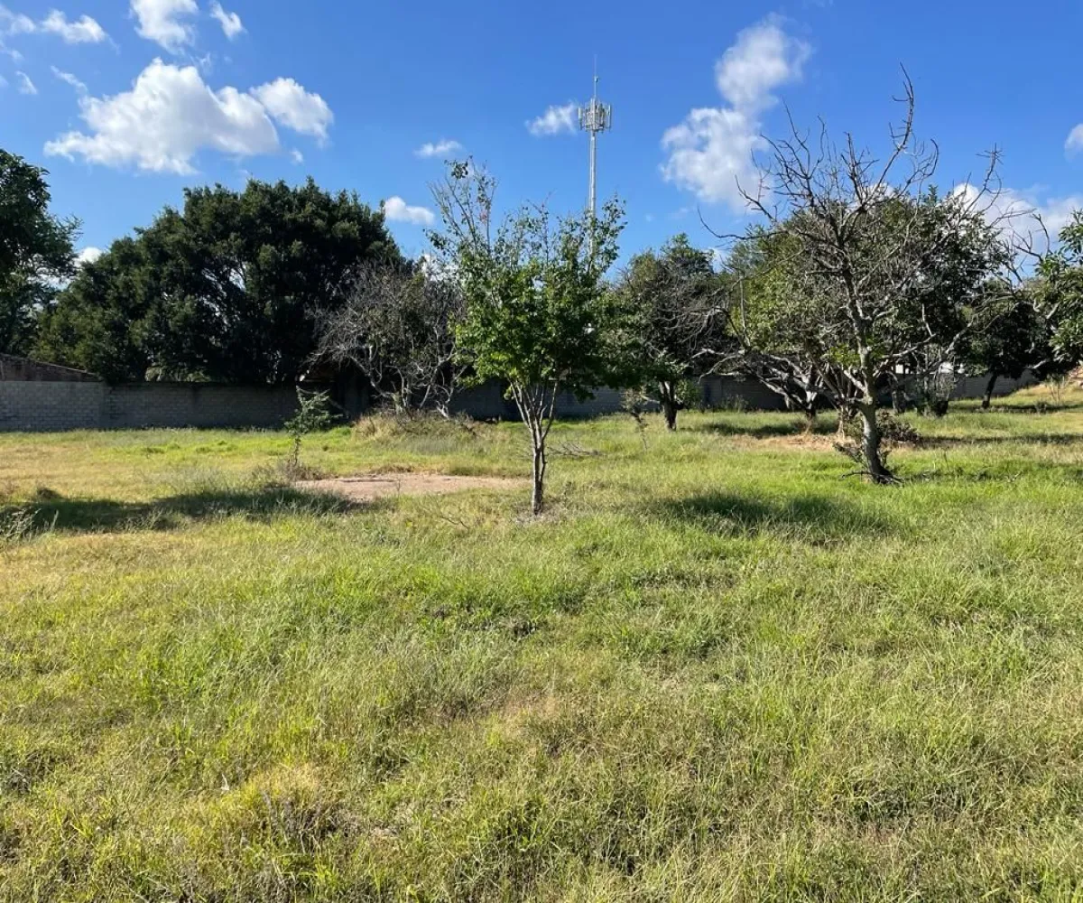 Terreno En Venta,El Cortijo,Av. El Cortijo S/N, Tlajomulco de Zúñiga, Jalisco 45640,Av. El Cortijo,pmKrzPr Terreno En Venta,El Cortijo,Av. El Cortijo S/N, Tlajomulco de Zúñiga, Jalisco 45640,Av. El Cortijo,pmKrzPr